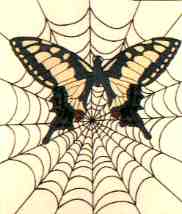 stained glass window with butterfly and spider web