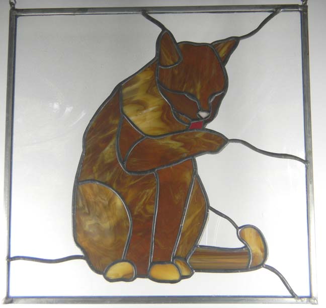 amber cat