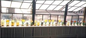 stained glass flowers