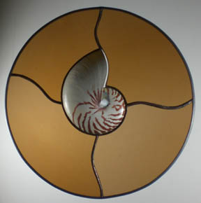tiger shell