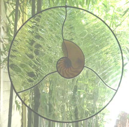nautilus