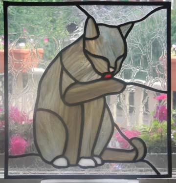 grooming cat